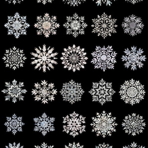 May include: A collection of detailed, silver-colored snowflake designs against a black background. Each snowflake has a unique, intricate pattern, with varying shapes and sizes. The snowflakes appear to be metallic or have a reflective quality, creating a shimmering effect.