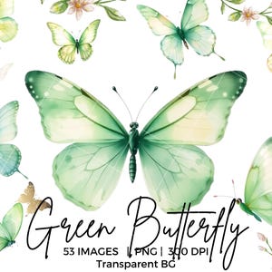 Puede incluir: Una ilustración digital de 53 mariposas de acuarela verde con fondos transparentes. Las mariposas son de varios tamaños y posiciones, algunas se superponen. El texto "Green Butterfly" está escrito en una fuente cursiva debajo de las mariposas.