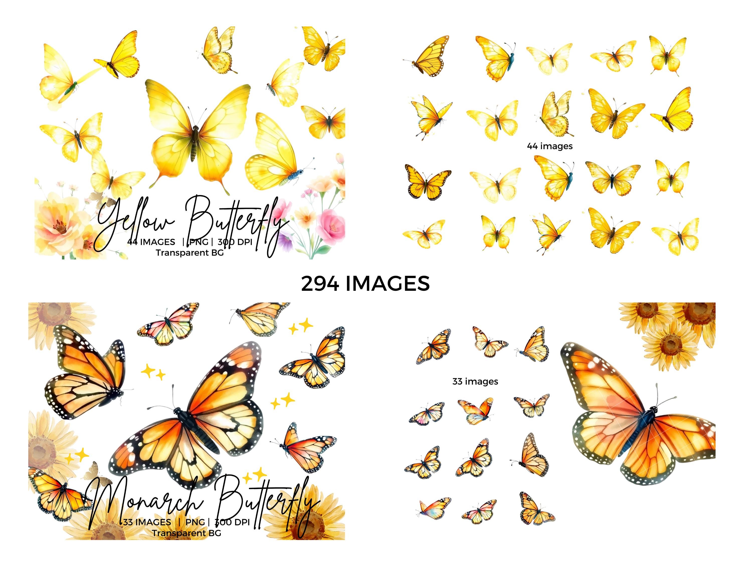 Butterfly PNG MEGA BUNDLE Butterflies Clipart Watercolor Spring ...