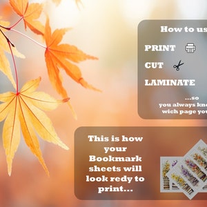 10 X Bookmark Printable for Book Lovers or Raeder Lily Flower Bookmark ...