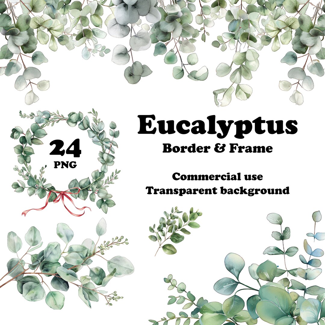 Eucalyptus Watercolor Clipart Set of 24 PNG Design Clipart Frame and ...