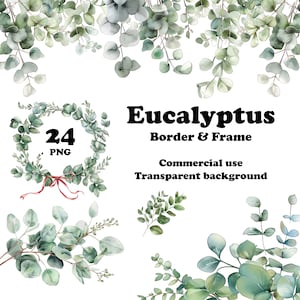 Eucalyptus Watercolor Clipart Set of 24 PNG Design Clipart Frame and Border for Wedding Invitation  Planner Sticker Card Junk Journal Diary