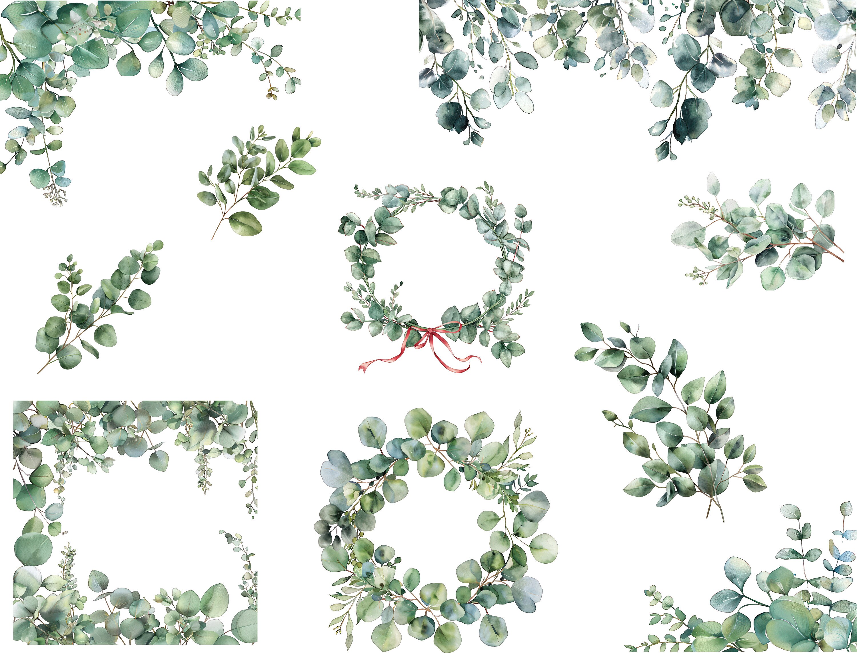 Eucalyptus Watercolor Clipart Set of 24 PNG Design Clipart Frame and ...