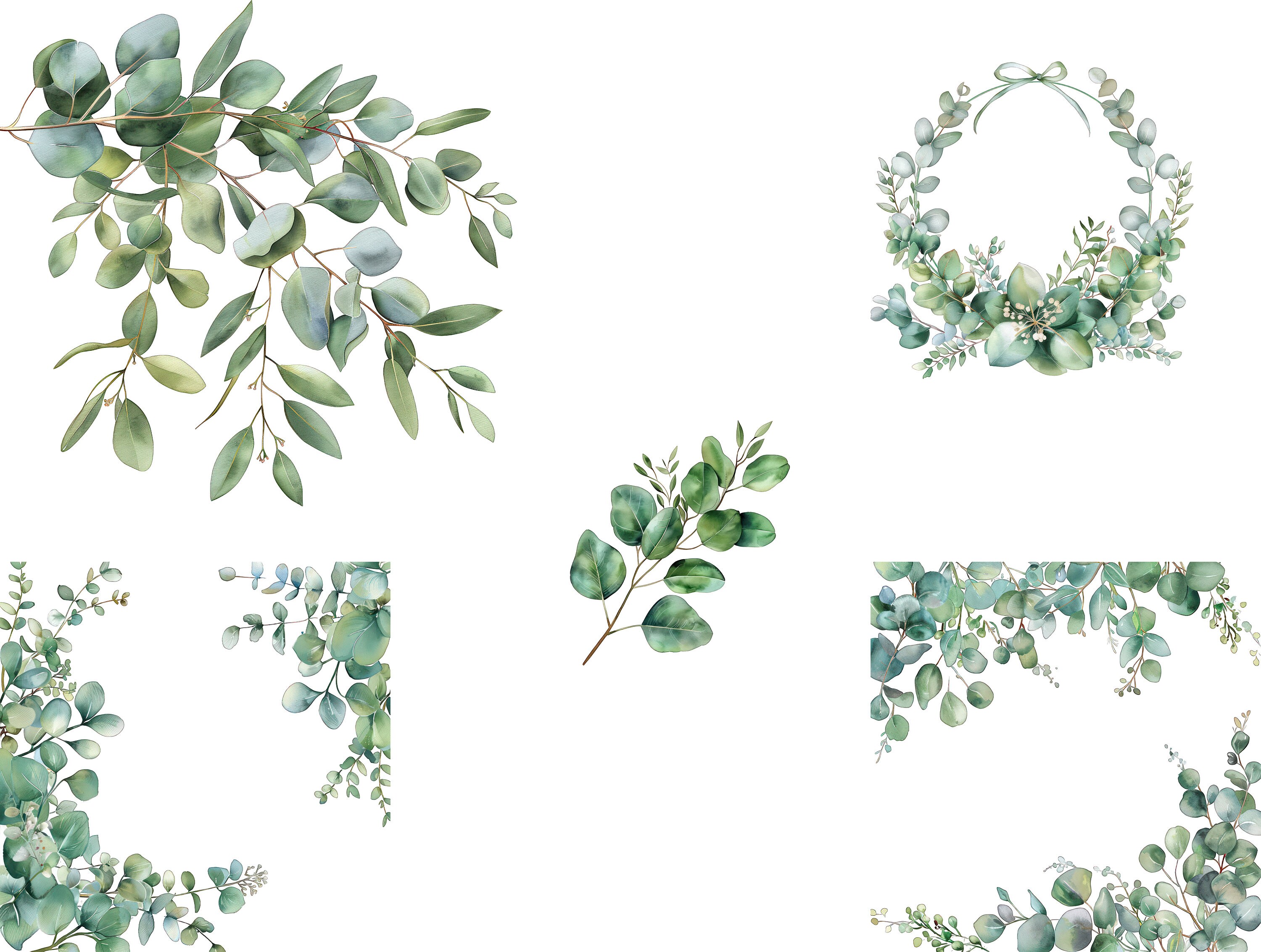Eucalyptus Watercolor Clipart Set of 24 PNG Design Clipart Frame and ...