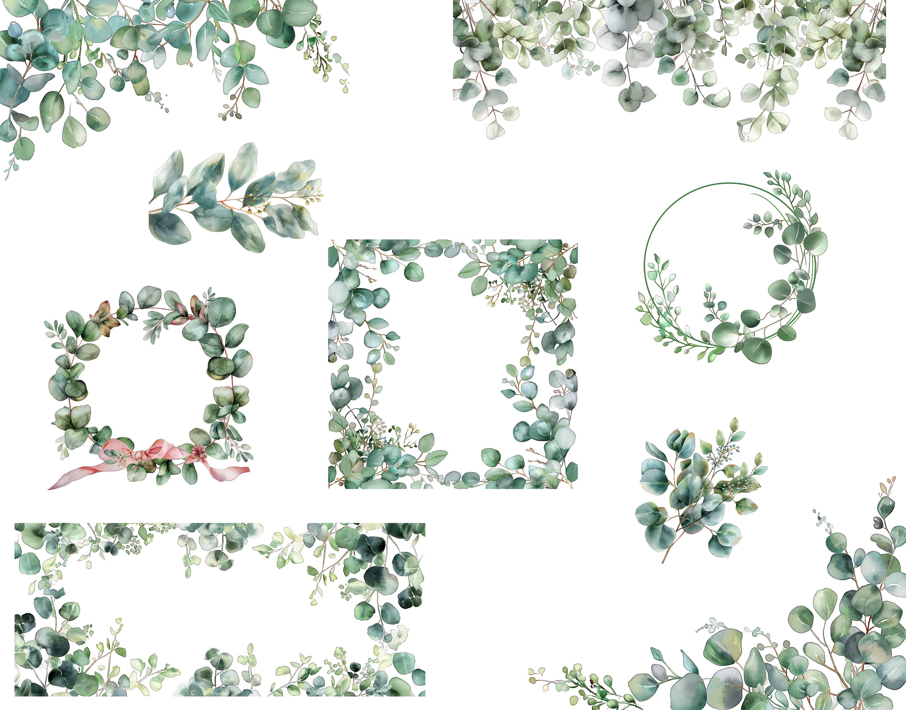 Eucalyptus Watercolor Clipart Set of 24 PNG Design Clipart Frame and ...