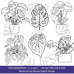 PHILODENDRON - Znaczek cyfrowy (Kontur, liść, roślina, roślina serowa, różne doniczki, młode i stare rośliny, svg, png, jpg, znaczek cyfrowy)