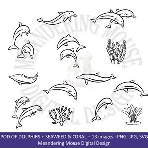 DAUPHINS - tampon numérique (tampon numérique, contour, dauphin, dauphins dansant, sautant, usage commercial, corail, algue, cartes, png, jpg, svg)