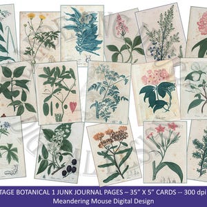 vintage Botanical 1 - Floral, cartes de visite indésirable, journalisation, plantes, téléchargement numérique, feuille de collage, papier imprimable, étiquettes, scrapbooking,