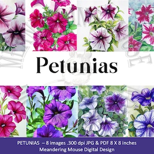 PETUNIA'S - Clipart