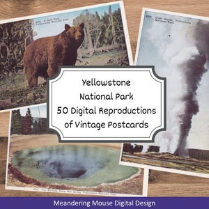 Cartes postales de Yellowstone - vintage, pages de journaux indésirables, éphémères, téléchargement numérique, collage, imprimable, scrapbooking, parc national, répliques.