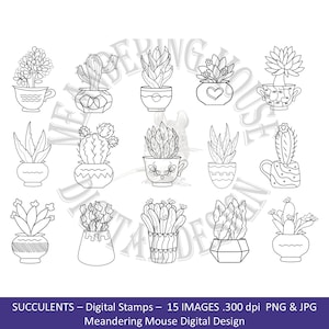 SUCCULENTES - Tampon numérique, succulentes, cactus, plante en pot, jpg, png, usage commercial ou personnel.