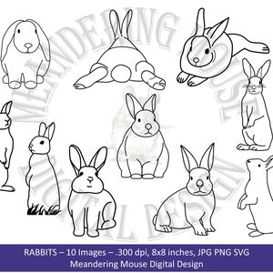COELHOS - Coelhinhos em várias poses, para imprimir, perfeitos para cartões de Páscoa, camisetas, sacolas, quilting, svg, png e jpg. Uso comercial