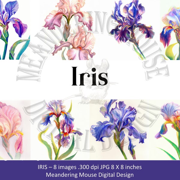 IRIS - Clipart (iris flowers, multi colors, jpg)