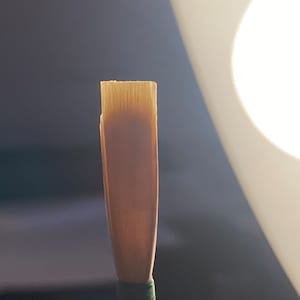 Student Oboe Reed