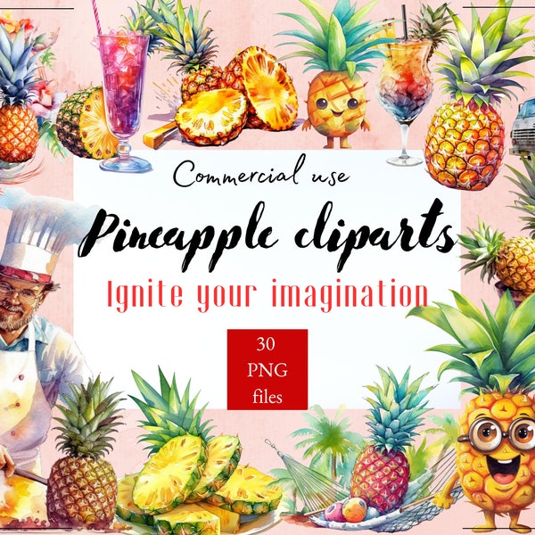 Aquarel ananas clipart PNG zomer fruit clipart commercieel gebruik illustraties tropische clipart Ananas fruit graphics strand menu ontwerpen