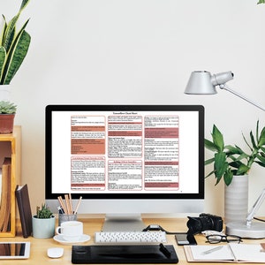 Op de afbeelding: Een computerscherm waarop een "Transition Cheat Sheet" wordt weergegeven met tekst en diagrammen. Het scherm staat op een houten bureau met een witte koffiemok, een potplant, een tablet, een toetsenbord, een muis, een camera, een bril en een notitieboek.
