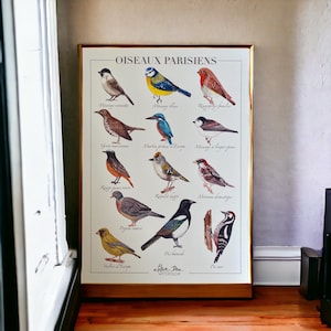 WATERCOLOR BIRDS PICTURE BOOK