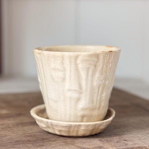 May include: Cream-coloured ceramic planter with a matching saucer. The planter has a textured surface with vertical lines and subtle face-like impressions. The rim has a slightly darker, aged appearance. The saucer is round and has a similar texture.