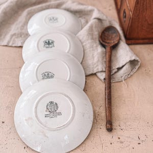 CHOICE Antique Ironstone Dishes, Saucers | Ironstone Trinket Dish + Soap Dish + Dish Brush Holder | Small Ironstone Dish | English Antiques