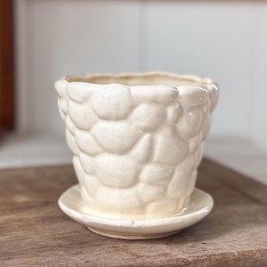 May include: Cream-colored ceramic planter with a textured, bubble-like pattern. The planter sits on a matching saucer. The design gives the pot a unique, tactile appearance. Perfect for small plants or succulents.