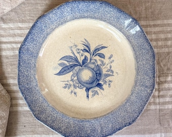 Antique Blue Transferware Ironstone Plate | Fruit Motif with Spongeware Border