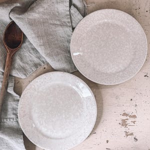 Antique Ironstone Plates, Set of 2| Antique Stained and Crazed Ironstone | English Ironstone Plates | English Farmhouse, Cottage