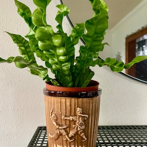 May include: A green fern plant in a brown ceramic pot with a raised design of two figures in a karate pose. The pot has the words "KARATE PUNCH" printed on the front.