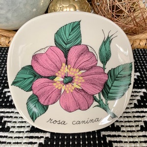 May include: A white ceramic dish with a pink and green floral design. The flower is a pink rose with a yellow center and green leaves. The text "rosa canina" is written in black below the flower.