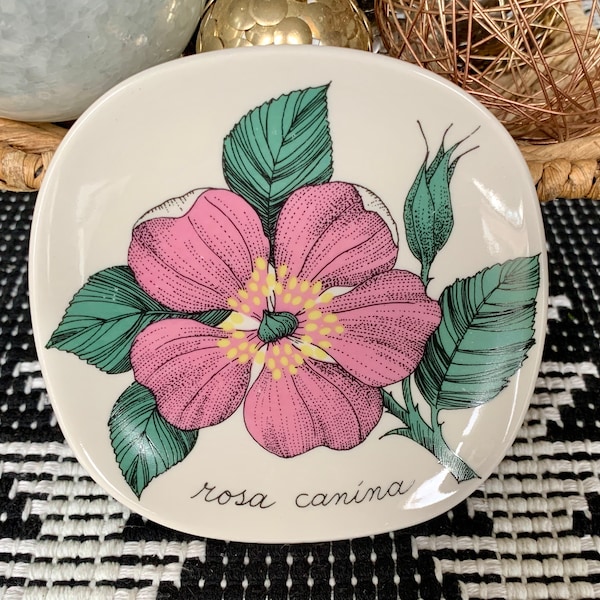 Vintage 4 7/8”x 4 7/8” Colourful Esteri Tomula ARABIA FINLAND “Rosa Canina” Hanging Glazed Earthenware Wall Plaque c.1982; Arabia Botanica