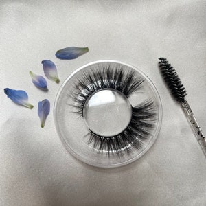 Könnte beinhalten: Ein transparenter Plastikbehälter mit einem schwarzen falschen Wimpern darin. Die Wimpern sind gebogen und bereit zum Anbringen. Ein schwarzer Wimpernapplikator ist ebenfalls auf dem Bild zu sehen.