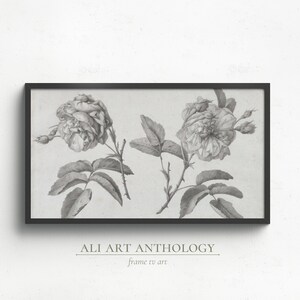 Frame TV Art, Vintage Botanical Sketch, Moody Fall Warm Muted Colors Frame TV, Dark Academia Art