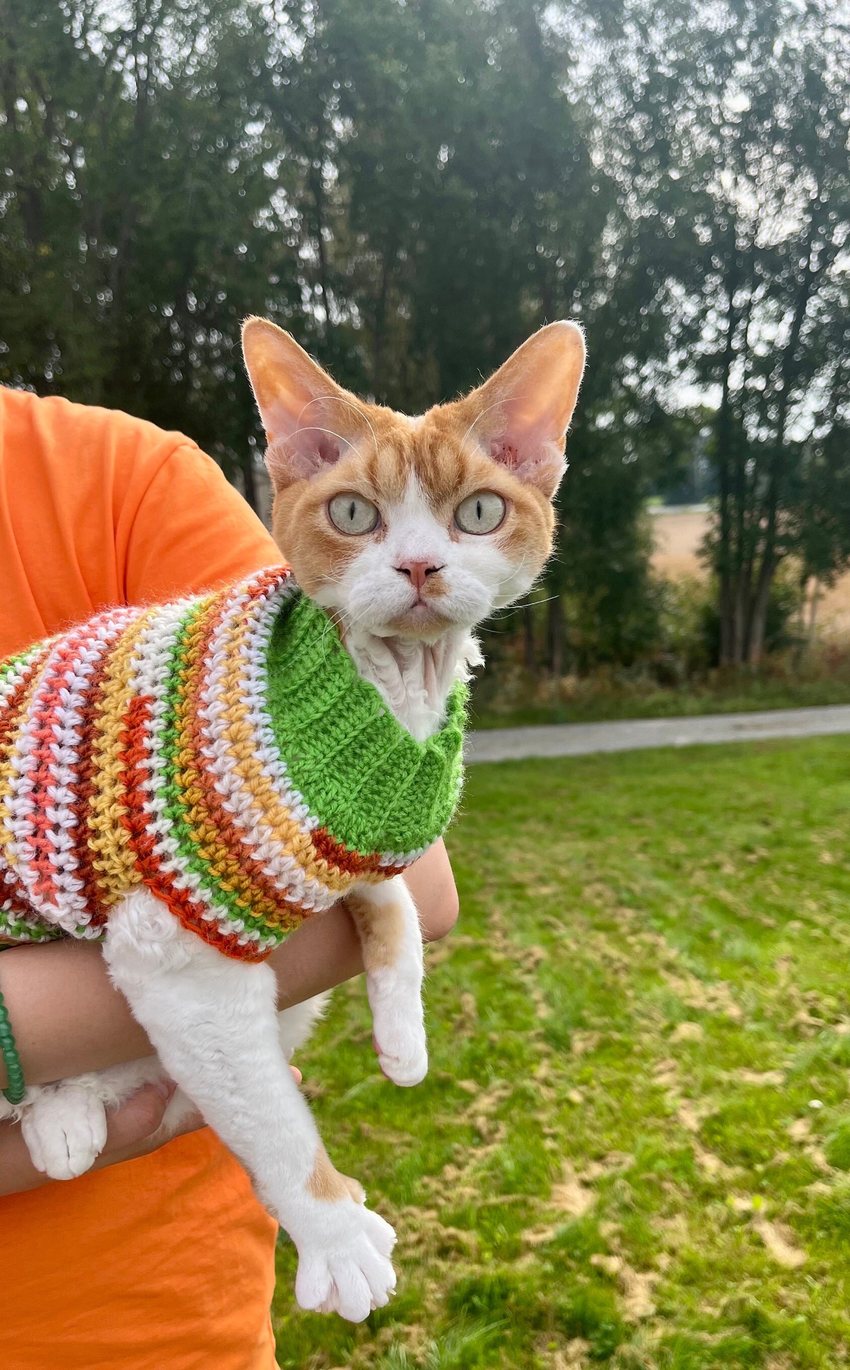 Knit Sweater Vest for Cat Etsy UK