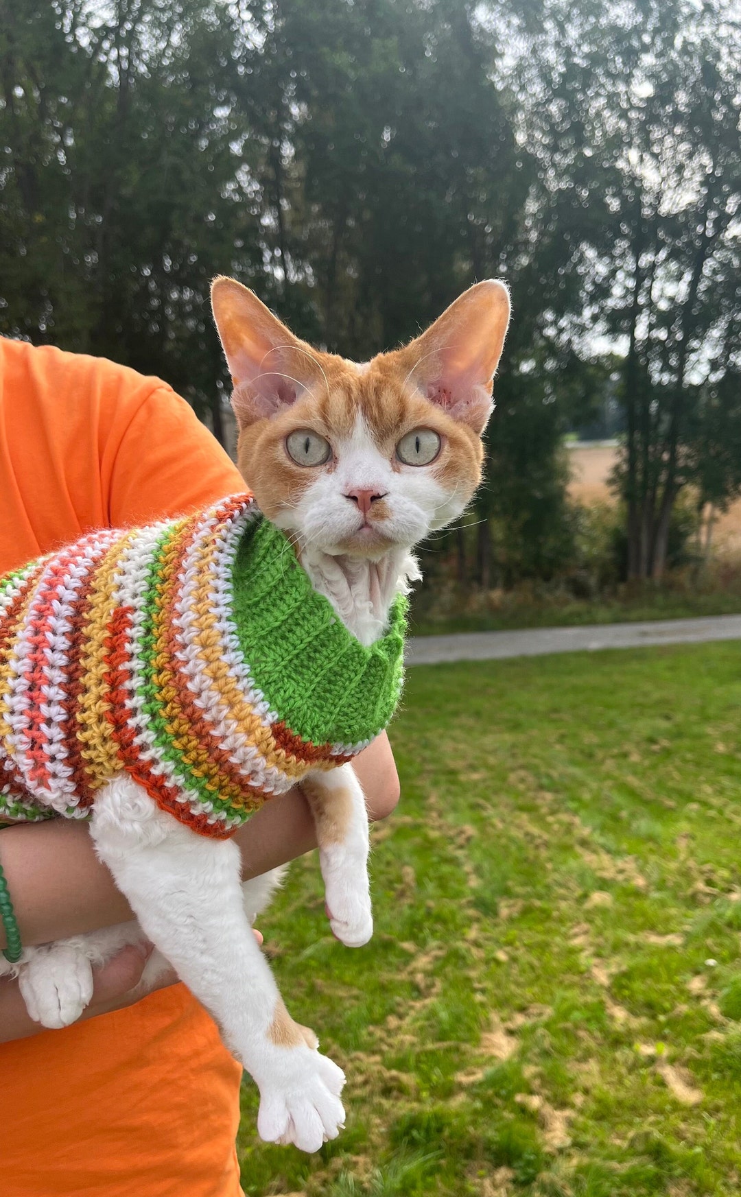 Crochet Cat Vest Hand Knitted Dog Sweater Eco Friendly Knitted Etsy