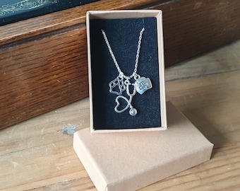 Collier vétérinaire en argent, cadeau pour amoureux des animaux, stéthoscope et patte