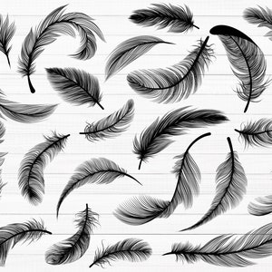 Feathers SVG Bundle, Feather SVG, Feathers Clipart, Feather Silhouette, Tribal Feather Svg, Feathers Vector, Boho Svg