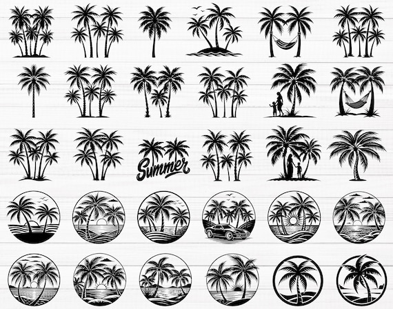 150 Palm Tree Svg Bundle, Palm Tree Silhouette, Palm Tree Clipart, Palm Png, Tropical Palm Svg, Palm Tree Decal, Palm Cut File