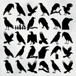 SVG raaf, raaf silhouet, kraai Svg, raaf Svg, kraai silhouetten, kraai Cricut, kraai clipart, raaf clipart, raaf png
