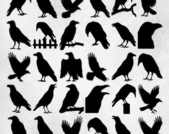 Raven Svg, Raven Silhouette, Crow SVG, Crow Silhouette, Dark Crow Svg, Crow Cricut, Crow Clipart, Raven Clipart, Dark Raven Svg, Raven Png