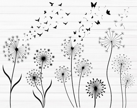 Dandelion SVG, Dandelion Svg Bundle, Dandelion Vector, Dandelion Cricut, Dandelion Clipart, Dandelion Files For Cricut, Silhouette, Clip Art