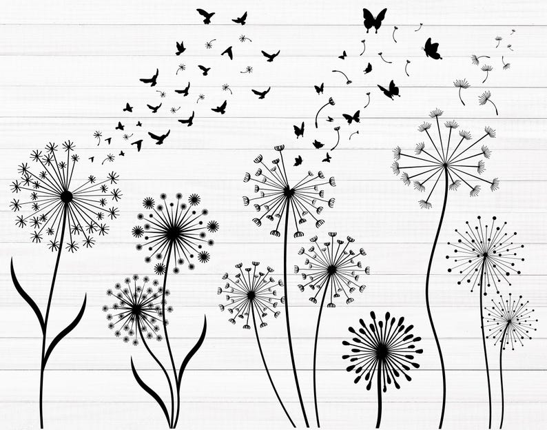 May include: Black and white silhouette illustration of dandelion flowers with seeds blowing in the wind. The dandelion flowers are in various stages of bloom, with some fully open and others closed. There are also several butterflies flying around the dandelions.