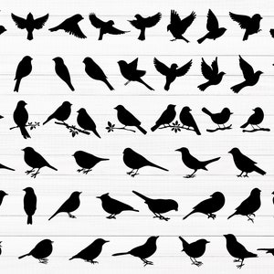 Bird SVG, Bird Svg Bundle, Flying Bird Svg, Animal Svg, Bird Clip Art, Sparrow Svg, Files for Cricut, Bird Silhouette, Birds Svg