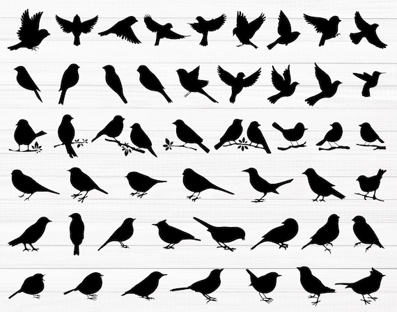 Bird SVG Bundle, 50 Flying Bird PNG, Minimalist Animal Silhouette Cut Files, Instant Download, Commercial Use