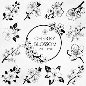 桜 SVG、桜の花 SVG、桜の花 SVG、桜の線画、桜のクリップアート、花 SVG、桜 Png