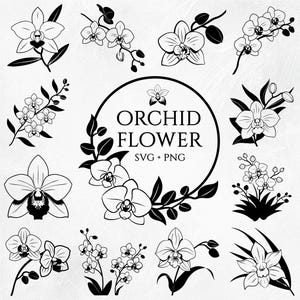 Orchidee SVG, Orchidee Blume zwart svg, Orchidee Blume png, Blumenrahmen svg, Orchidee Silhouette, Orchidee Clipart, Orchideenstrauß svg, Orchidee Blume Png