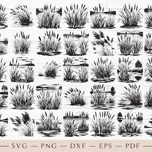 Reeds SVG, Cattail Svg, Grass Reeds Svg, Reeds Silhouette, Cattail Flower Svg, Cattail Vector, Reeds Clipart,  Cattail Silhouette, Reeds Png