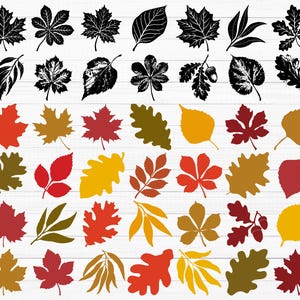May include: A collection of 40 autumn leaf illustrations in various colors, including red, orange, yellow, brown, and green. The leaves are in different shapes and sizes, and some have a more detailed design than others.