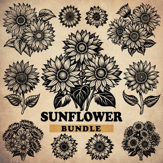 Sunflower SVG, Sunflower Svg Bundle, Sunflower Cricut, Sunflower Clipart, Flower Svg, Sunflower Cut File, Sunflower Silhouette, Vector, Dxf