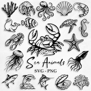 Paquete de SVG de animales marinos (70 archivos SVG y PNG) SVG del océano, SVG de vida marina, SVG de conchas marinas, descarga instantánea, uso comercial.