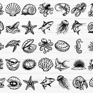 Sea Animals SVG, Ocean Svg, Sea Life Svg, Octopus Svg, Shark Svg, Seashell Svg, Dolphin Svg, Crab Svg, Ocean Animals Svg, Sea Animals Png