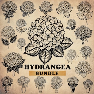 Hydrangea SVG Bundle (30 Files: SVG, PNG & More) Instant Download, Commercial Use